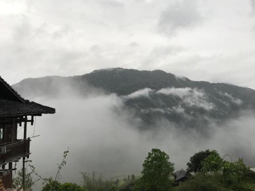 Imagen general del 绿影. Foto 3