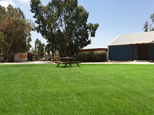 Imagen general del קשת יהונתן. Foto 12