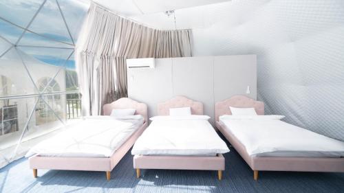 Imagen de la habitación del 富士星空の村. Foto 13
