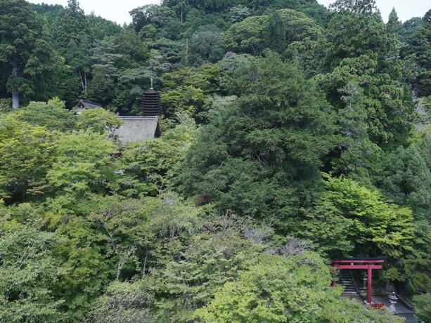 Imagen general del 多武峰観光ホテル. Foto 34