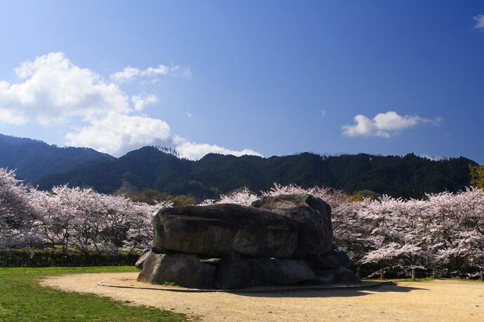 Imagen general del 多武峰観光ホテル. Foto 38