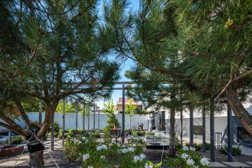 Imagen general del Номер в гостьовому домі \