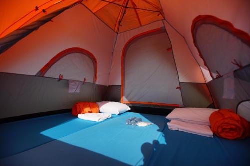 Imagen de la habitación del อาราบิกา ณ เขาค้อ. Foto 9