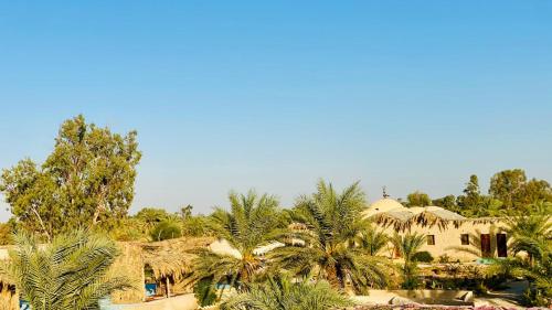 Imagen general del فندق الدكرور. Foto 7