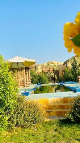 Imagen general del فندق الدكرور. Foto 15