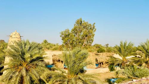 Imagen general del فندق الدكرور. Foto 17