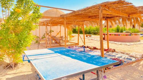 Imagen general del فندق الدكرور. Foto 20