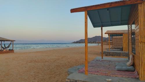 Imagen general del كازابلانكا كامب. Foto 6