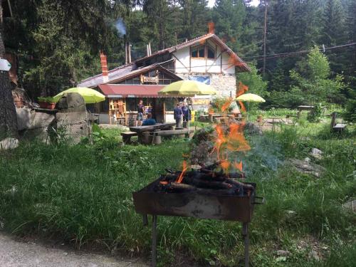 Imagen general del Хижа Ловна в Рила. Foto 1