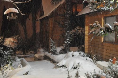 Imagen general del 4-sezona Hotel. Foto 18