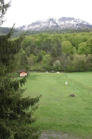 Imagen general del 50 chemin des bois, la Source Blanche 04140 Montclar. Foto 5