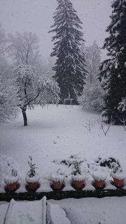 Imagen de los exteriores del A La Grenouille. Foto 8