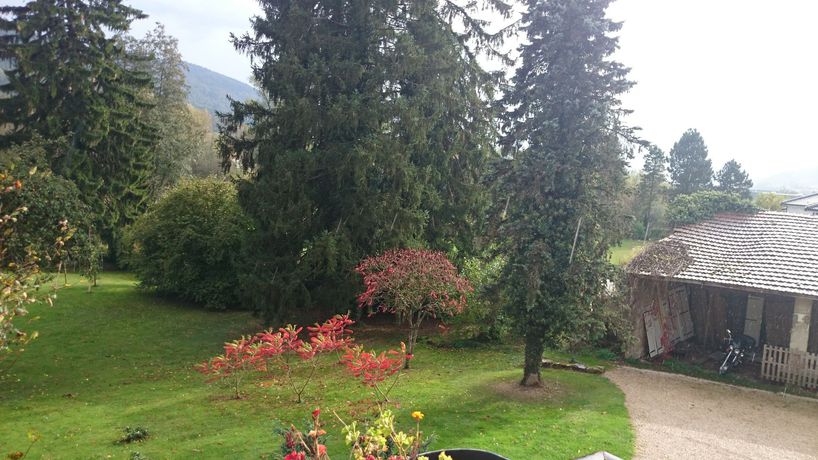 Imagen de los exteriores del A La Grenouille. Foto 16