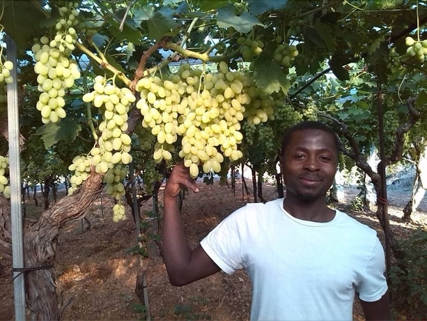 Imagen general del A San Domenico. Foto 2