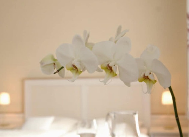 Imagen de la habitación del AKZENT Hotel Dorn. Foto 14