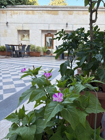 Imagen de la habitación del ALİ RIZA BEY KONAĞI. Foto 10