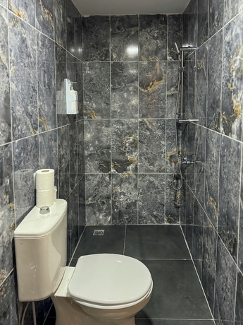 Imagen de la habitación del ARISAN OTEL. Foto 12