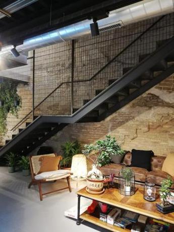 Imagen general del AZ The Botanic Hostel. Foto 5