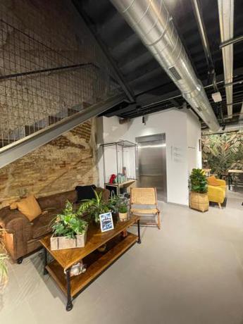 Imagen general del AZ The Botanic Hostel. Foto 10