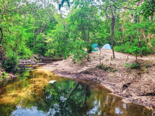 Imagen general del ÁREA DE CAMPING Rancho Mariá. Foto 1