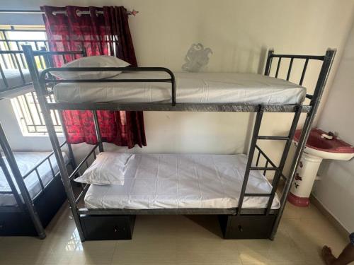 Imagen general del Aaroha Hilltop Backpackers Hostel. Foto 4