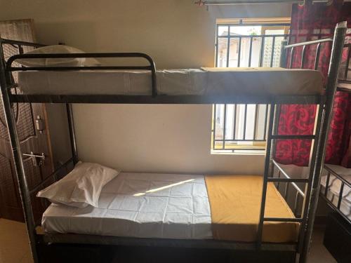 Imagen general del Aaroha Hilltop Backpackers Hostel. Foto 8