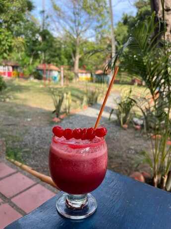 Imagen del bar/restaurante del Ab Del Sol Campestre. Foto 6