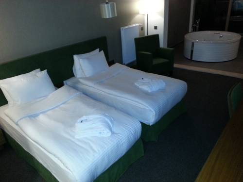 Imagen de la habitación del Abant Aden Boutique Hotel and Spa. Foto 2