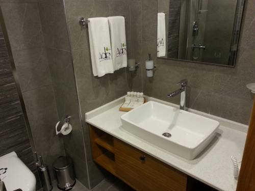 Imagen de la habitación del Abant Aden Boutique Hotel and Spa. Foto 5
