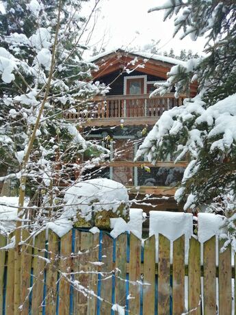 Imagen general del Abant Dere Otel. Foto 9