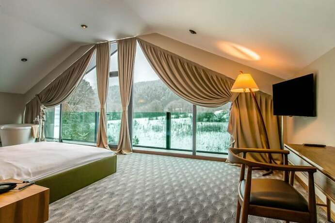 Imagen general del Abant Lotus Otel. Foto 4