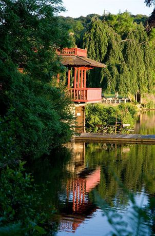 Imagen de los interiores del Abbaye Des Vaux De Cernay. Foto 16