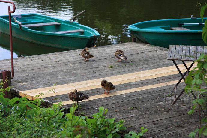 Imagen de la habitación del Abbaye Des Vaux De Cernay. Foto 7