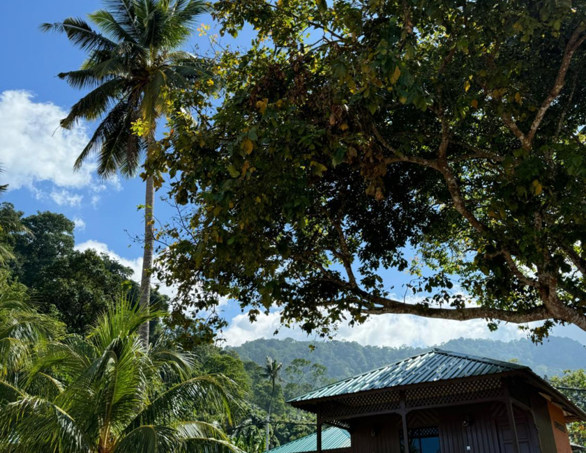 Imagen general del Abc Beach Tioman. Foto 3
