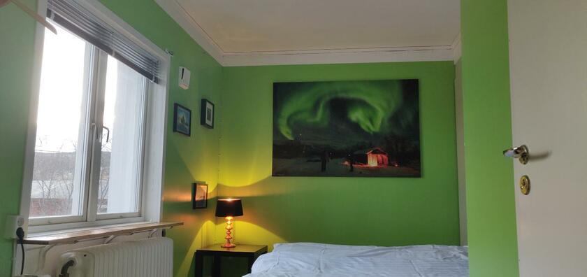 Imagen general del Abisko net Hostel & Huskies. Foto 3