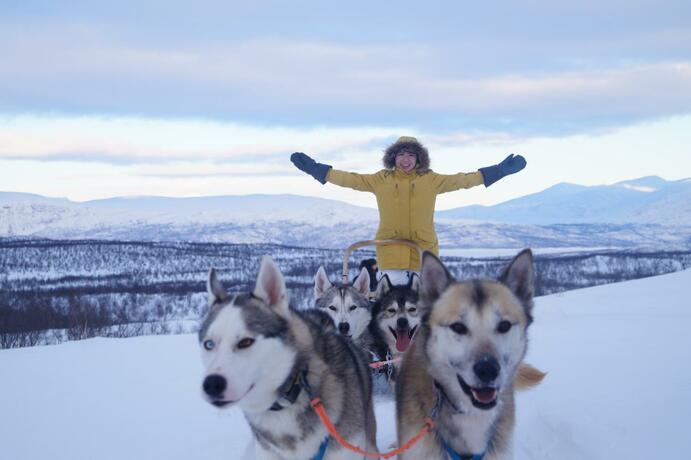 Imagen general del Abisko net Hostel & Huskies. Foto 14