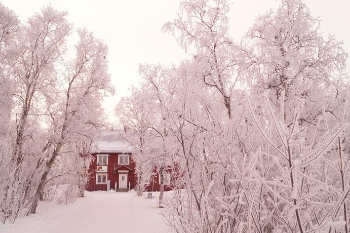 Imagen general del Abisko net Hostel & Huskies. Foto 16