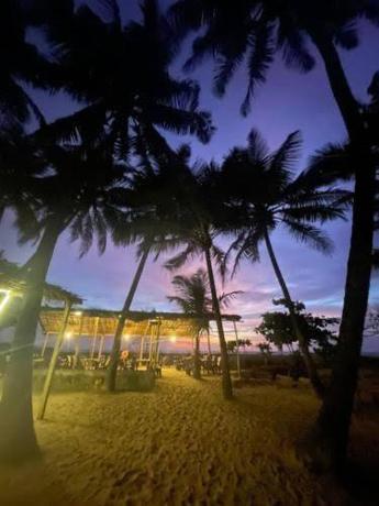 Imagen general del Absolute paradise. Foto 2