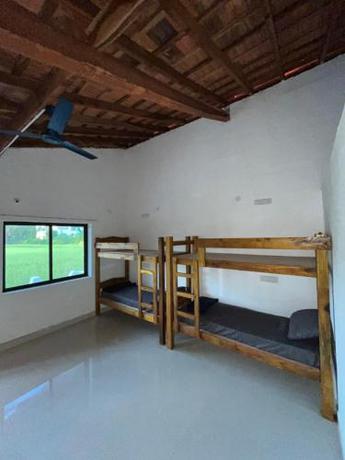 Imagen general del Absolute paradise. Foto 16