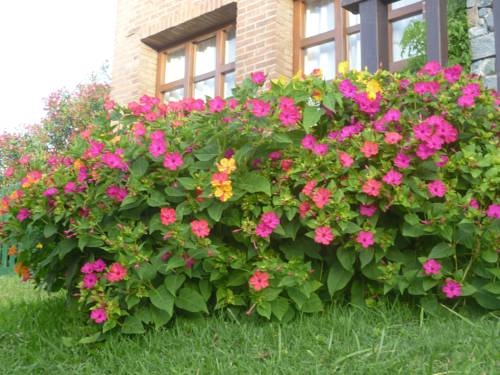 Imagen general del Acquamarina Hotel. Foto 9