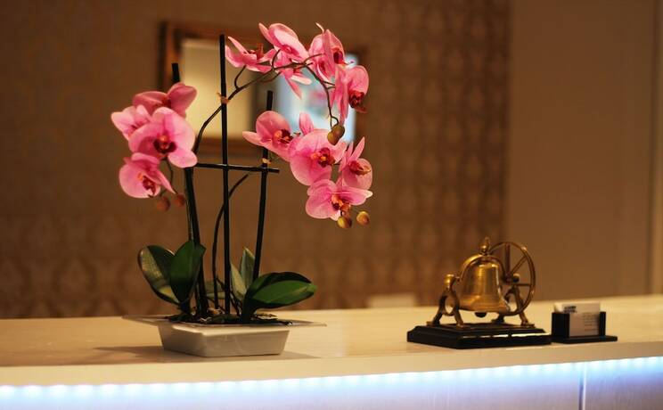 Imagen general del Acron Traben-Trarbach. Foto 2