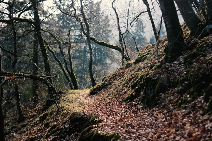 Imagen general del Acron Traben-Trarbach. Foto 9