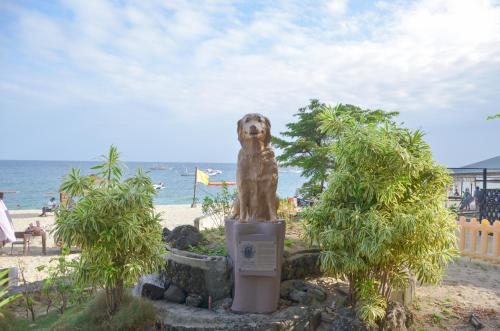 Imagen general del Acuaverde Beach Resort. Foto 8