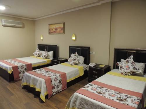 Imagen de la habitación del Adana Saray Hotel. Foto 2