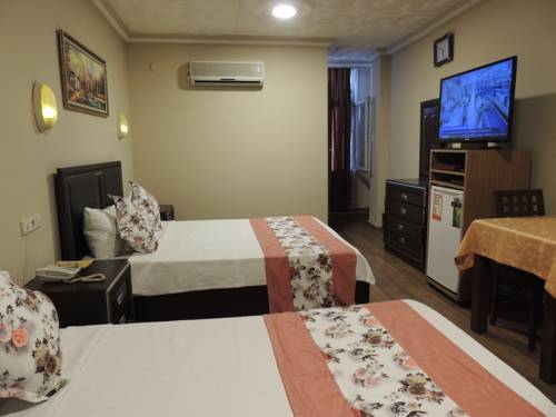 Imagen de la habitación del Adana Saray Hotel. Foto 3