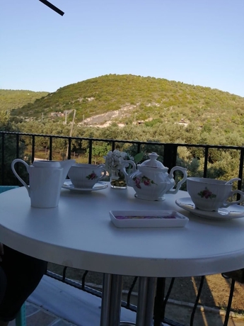 Imagen de la habitación del Adasu Otel. Foto 19