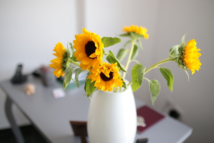 Imagen general del Affittacamere Nonna Laura. Foto 2