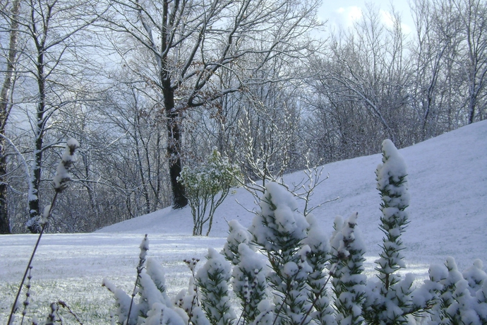 Imagen de los exteriores del Affittacamere Rubino. Foto 15