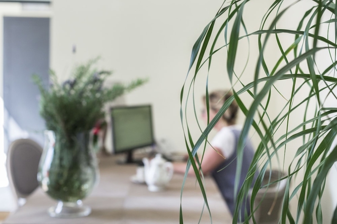 Imagen de los interiores del Agave In Città. Foto 19