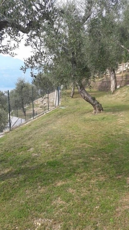 Imagen de los exteriores del Agricampeggio Agri-camping Relax. Foto 9